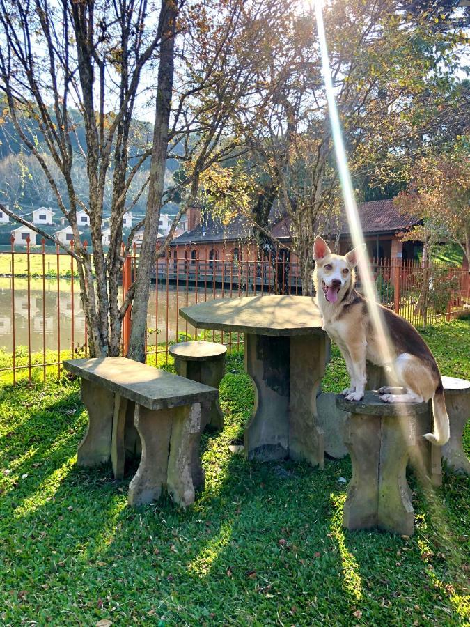 Pousada Parque Das Pitangueiras Flores da Cunha Eksteriør bilde