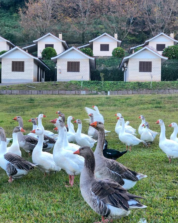 Pousada Parque Das Pitangueiras Flores da Cunha Eksteriør bilde