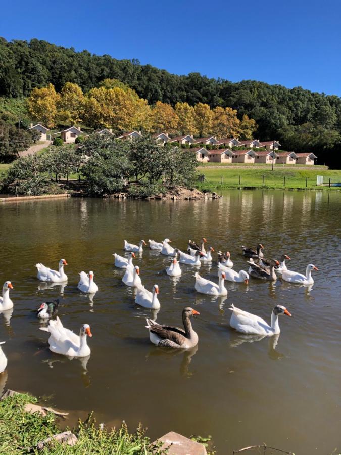 Pousada Parque Das Pitangueiras Flores da Cunha Eksteriør bilde